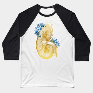 Kidney section Baseball T-Shirt